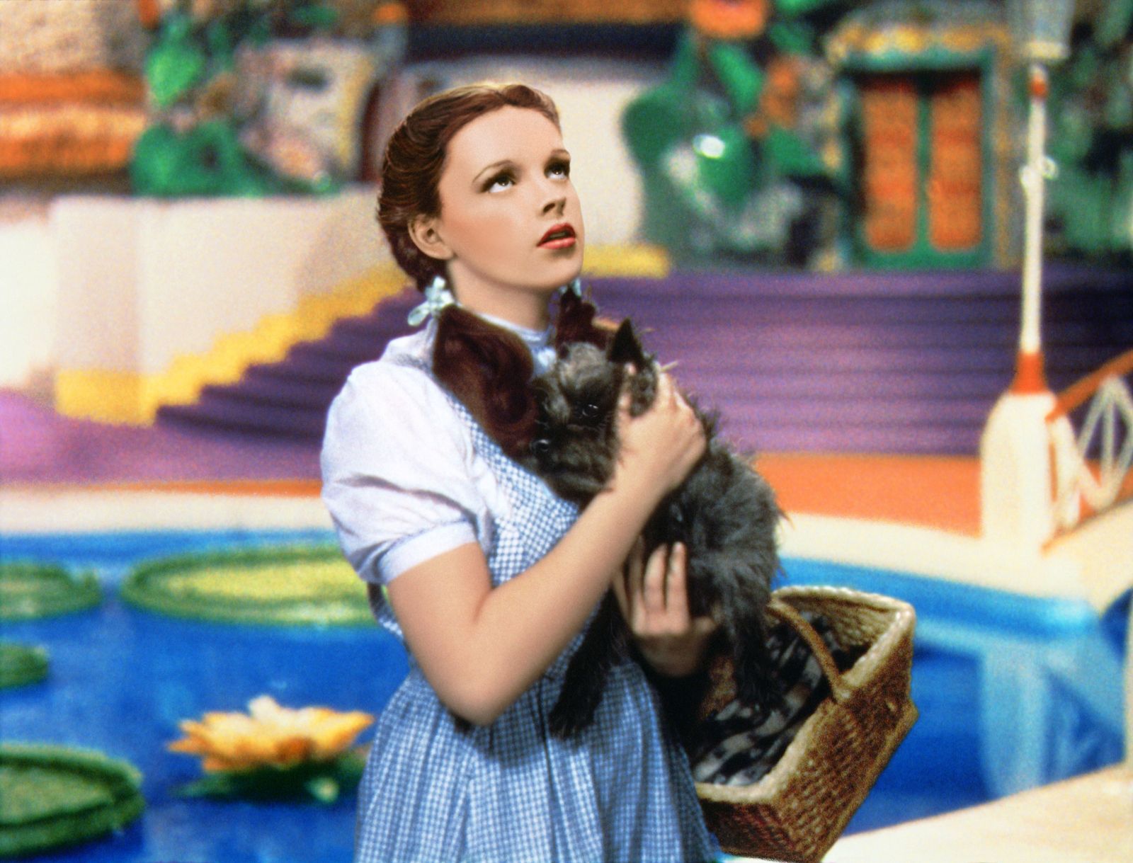 Judy Garland, The Wizard of Oz, Red  Glitter Shoes and the Forever Blue Gingham Dress