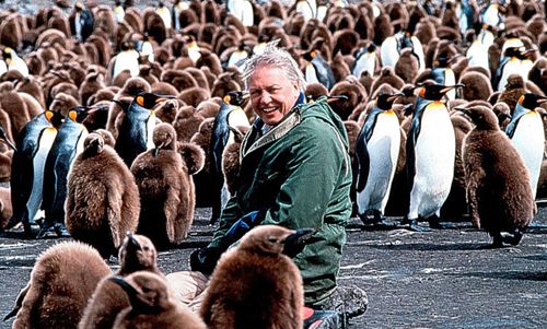 Sir David Attenborough : A Man For All Seasons