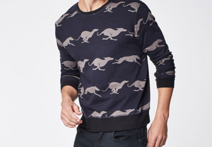 Bradley Cooper Would Look Swell in this Organic Cotton Whippet Sweater!
