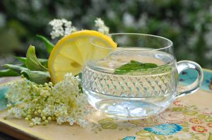 Let's Make Elderflower Champagne with Rosie, Queen of Jam Makers!