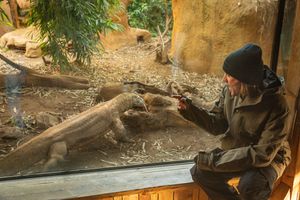 McFly's Dougie Poynter Meets Ganas the Komodo Dragon at ZSL London Zoo