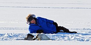Sir David Attenborough and The Frozen Planet