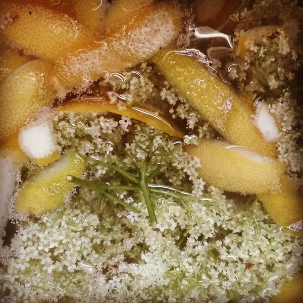 Elderflower Champagne Recipe and Other Seasonal Delights