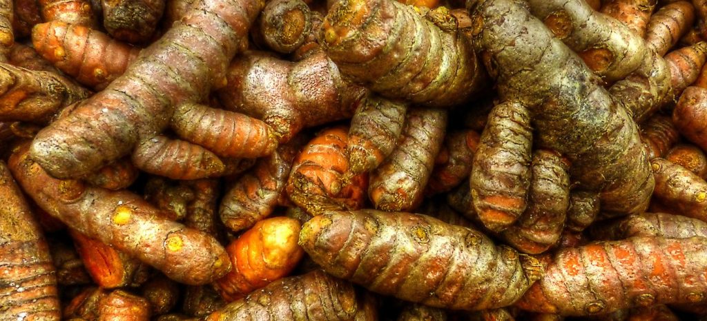 Organic turmeric root prized in Ayurveda the medicine of India for its ant-inflammatory action.