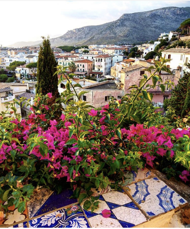 Bougainvillea growing in the ancient hilltop town of Sperlonga, Italy