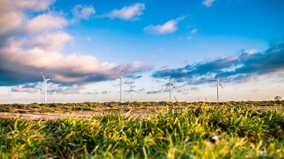 Wind Turbines Generating Sustainable Energy