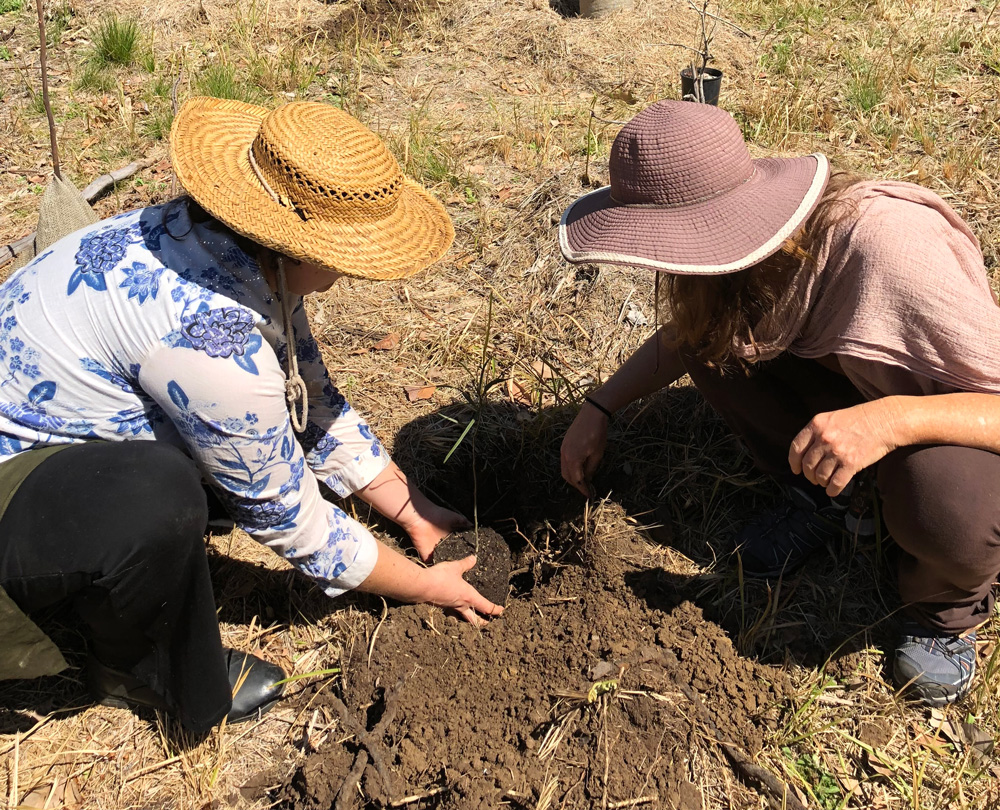 reesisters planting-trees-at Australian gathering - image credit Pollyanna Darling (1)