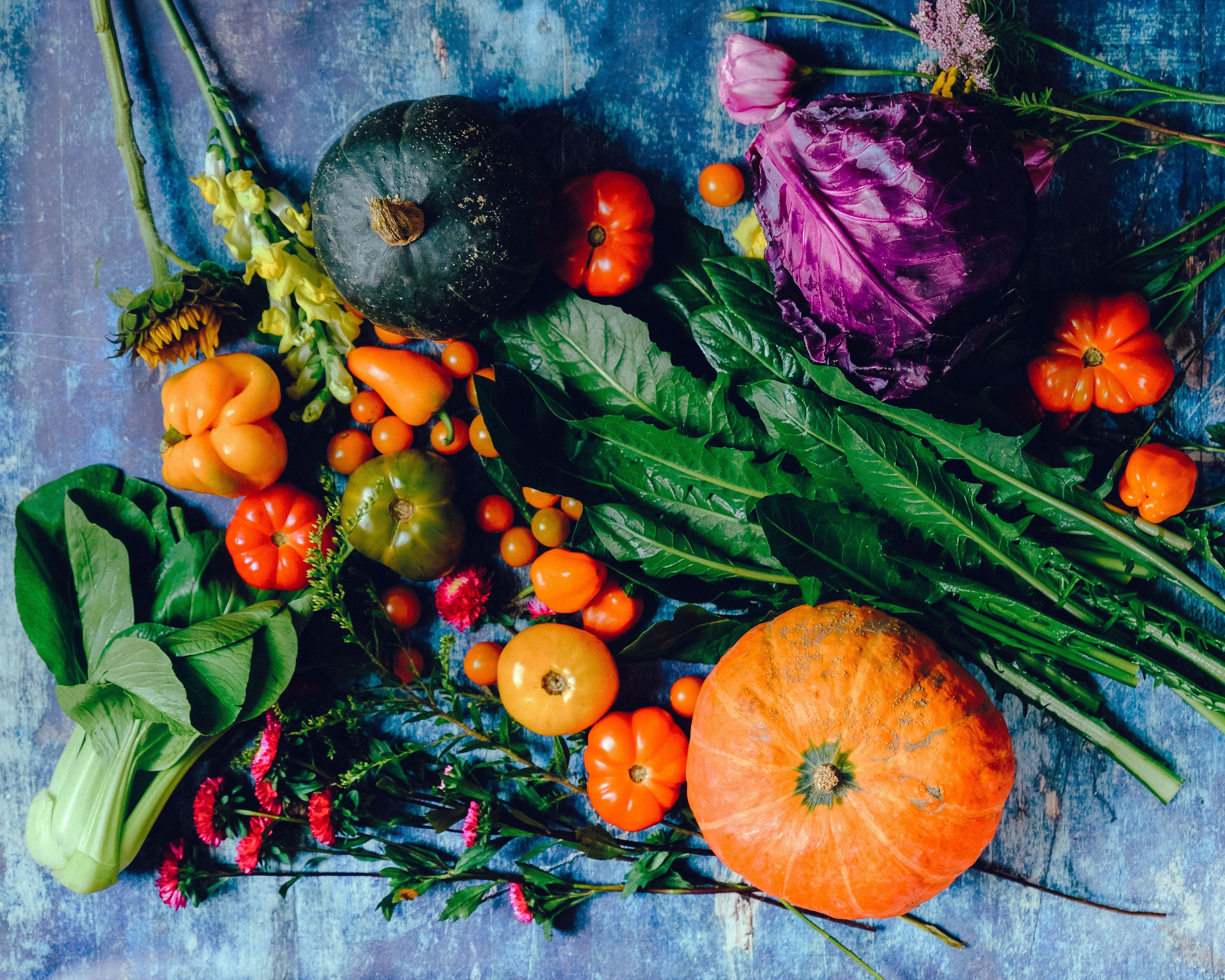 A slate table is covered with fresh garden vegetables and plants like gourds, tomatoes, cabbage and sunflowers. Photo by Ella Olson from Pexels.