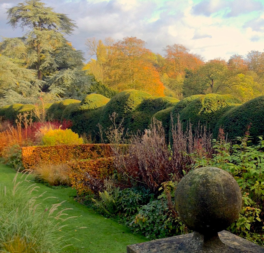 A view of the hedges and autumn plants at the Long Border Garden at Waltham Place. Photo courtesy of Waltham Place.