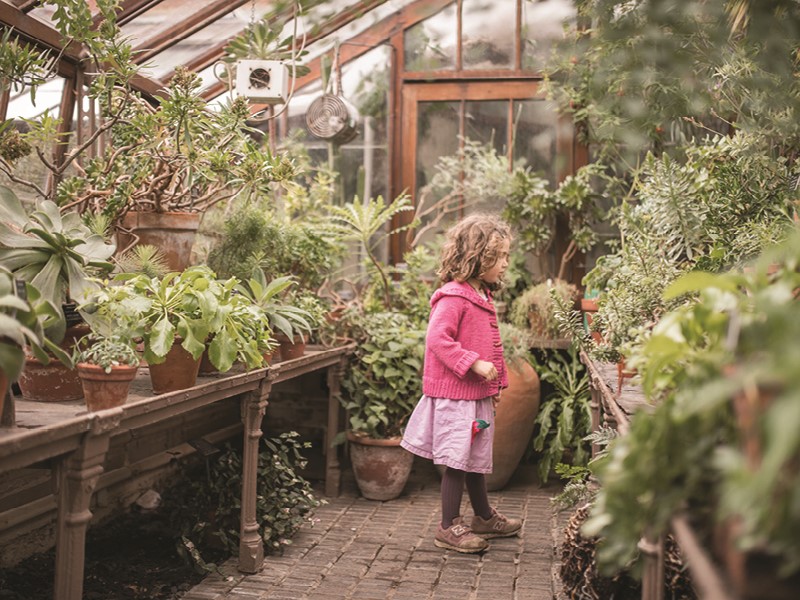 A little girl inspects an indoor greenhouse at Chelsea Physic Garden. Photo courtesy of Chelsea Physic Garden.