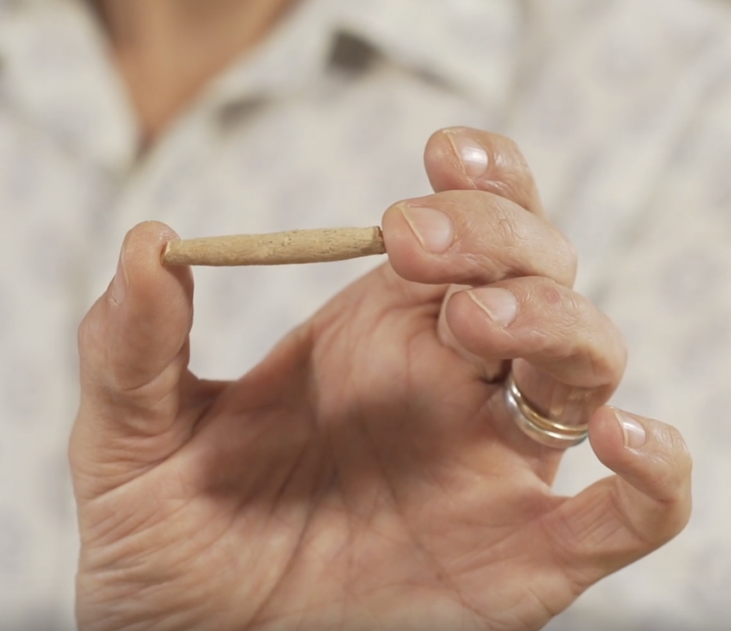 Sebastian Pole, co-founder of Pukka Herbs and Master Herbalist, holds a piece of dried aswaghanda root up close to the camera.