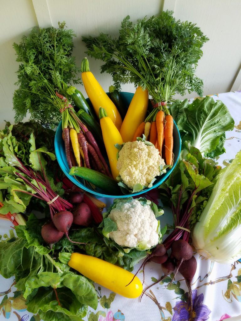 Assorted vegetables on display in a teal colander, including heirloom carrots, cauliflower, zucchinis, beetroots, and lettuce. Photo by Solare Flares from Pexels.