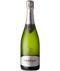 An organic northern Italian sparkling wine, the Ferrari Maximum Brut.